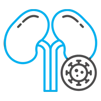 Cancers of Kidney, Bladder, Prostate
